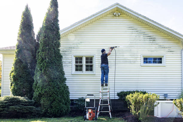 Best Solar Panel Cleaning  in Wauchula, FL